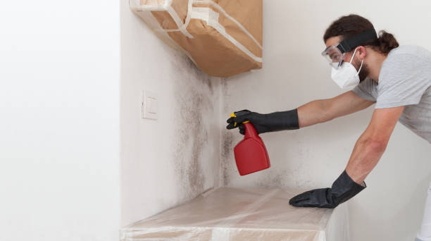 Professional Mold Removal technician working in Bedford, TX